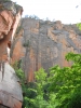 PICTURES/Sedona  West Fork Trail/t_Red Rock Along Creek6.JPG